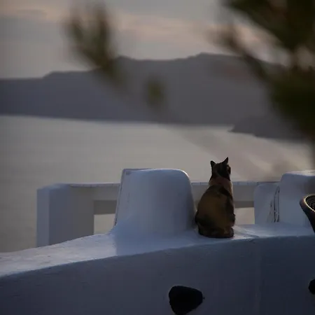 Alexander's Oia (Santorini)